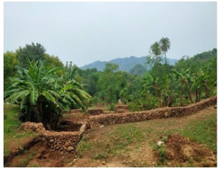 Watershed Management