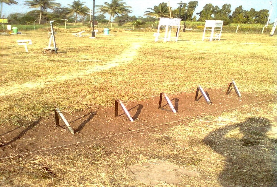 Soli Thermometer